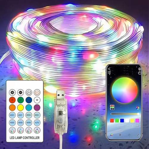 Weihnachtsbeleuchtung - Smart Christmas Lights | USB-5V Smart Lichterkette, Kupferdraht Smart String Lights, 24 Tasten Lichterkette mit Fernbedienung Musik & Sprachsynchronisation für Partys, Häuser, von Toliya