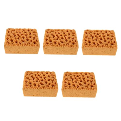 Toyvian 5st Nachahmung Natürlicher Algen Pinsel Backpinsel Mini-Dekoration Backpinsel Malen Farbschwämme Zum Malen Malschwämme Für Kreidefarbe Schwämme Für Töpferton Coffee Schwamm von Toyvian