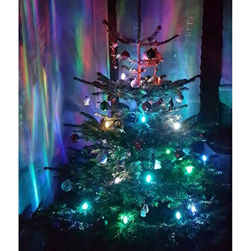 Trango 24-flammig LED-Christbaumkerzen 340146RGB Weihnachtskerzen RGB Farbwechsel – 24 LED-Kerzen mit Stecksystem Innenbereich – leuchtende Weihnachten von Trango