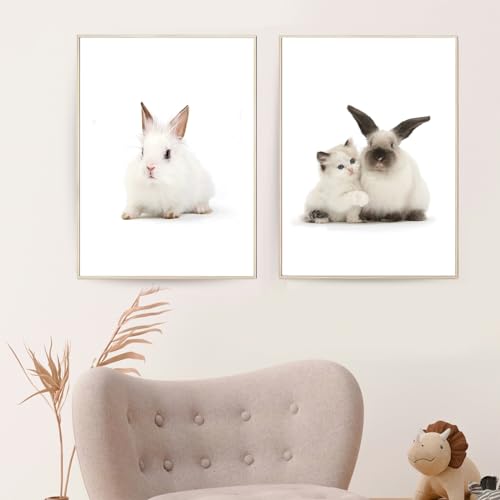 Trayosin 2er Poster Set Kinderzimmer, Premium Kaninchen Bilder Babyzimmer Deko Junge Mädchen, Kinderposter Set Wandbilder Kinderbilder Wandposter ohne Bilderrahmen (40x50cm) von Trayosin