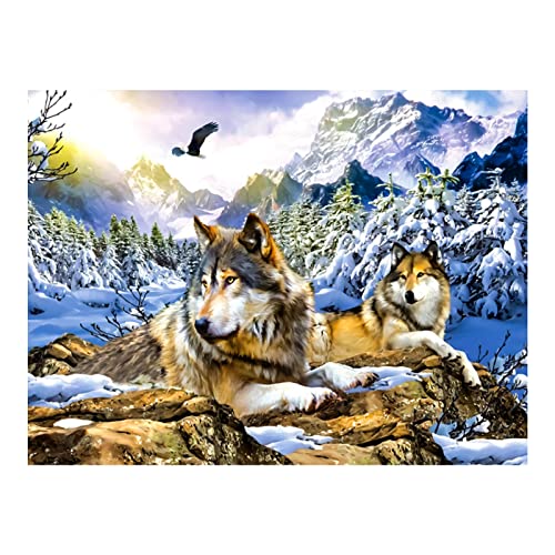 Trayosin 5D DIY Diamond Painting Schnee Wolf, Diamant Painting Tier Bilder Groß für Erwachsene Kinder, Diamant Malerei Set Kristallstrass-Stickerei, Kunsthandwerks-Zubehör, Wanddekoration (50x40cm) von Trayosin