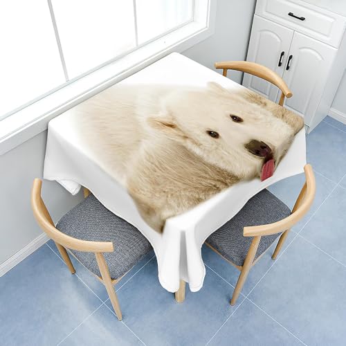 Treer 3D Eisbär Drucken Tischdecke Abwaschbar, Tischdecke Polyester Haben Lotuseffekt,Eckig Abwischbare Tischdecke für Küchendekoration, Tablecloth Picknick im Freien (140x140cm,Eisbär G) von Treer