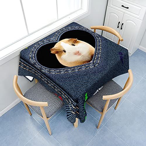 Treer Denim-Stil Eckig Tischdecke, Tischdecke Abwaschbar, Tischdecken Haben Lotuseffekt, Abwischbare Tischdecke für Picknick Couchtisch Hochzeiten oder Haushalt (100x100cm,Hamster) von Treer