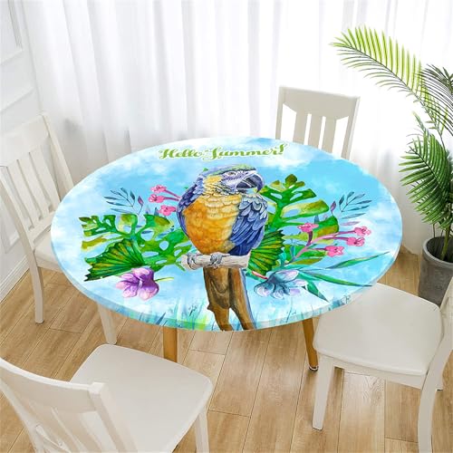 Treer Tischdecke Outdoor Rund, Bunter Papagei Lotuseffekt Tischdecke Abwaschbar Elastisch Rund Gartentischdecke, für Garten, Küche, Esstisch, Parteien Tischdecken (Blau,70cm) von Treer