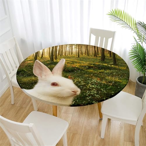 Treer Tischdecke Outdoor Rund, Osterhase Lotuseffekt Tischdecke Abwaschbar Elastisch Rund Gartentischdecke, für Garten, Küche, Esstisch, Parteien Tischdecken (Osterhase 7,130cm) von Treer