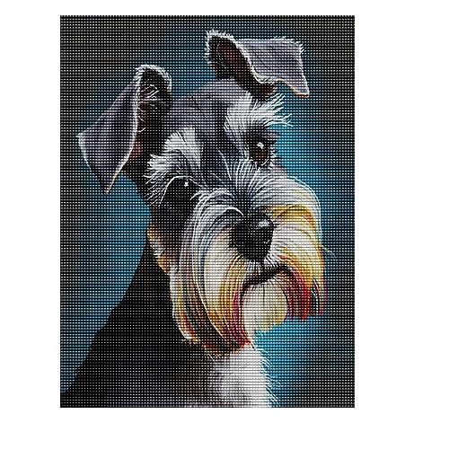 Adult Diamond Painting,Schnauzer Dog Painting Diamond Art with Accessories and Tools, Wall Decoration Crafts, Relaxation and Home Wall Decoration 8 x 12 inches von Treff