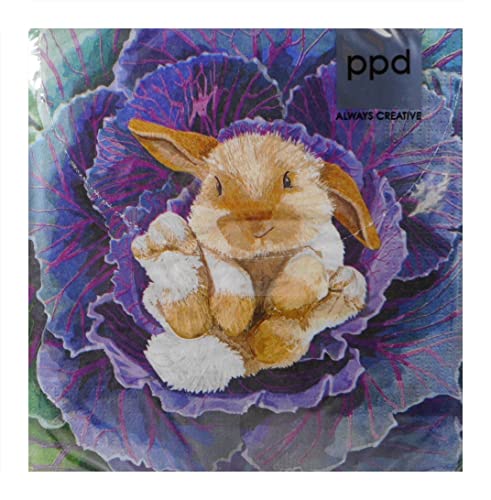 20 Servietten Hase Hasenbaby im Kohlkopf Ostern Napkins 33 cm Serviettentechnik Deko GS 456 von Trends & Trade