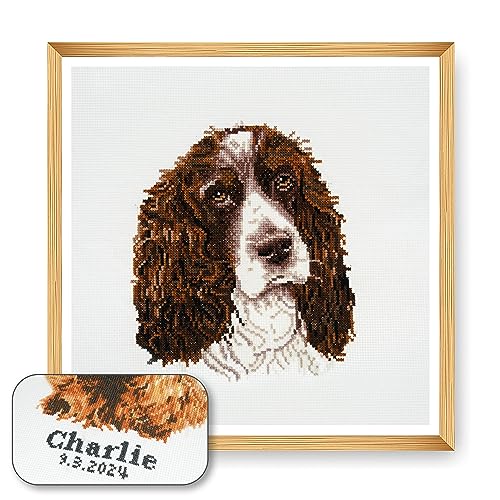 Trimits Kreuzstich-Set Hund – personalisierte Stickerei für Erwachsene und Anfänger, Wanddekoration, Tierliebhaber, Hundebesitzer,36x36cm,Rahmen nicht im Lieferumfang enthalten, Springer Spaniel von Trimits