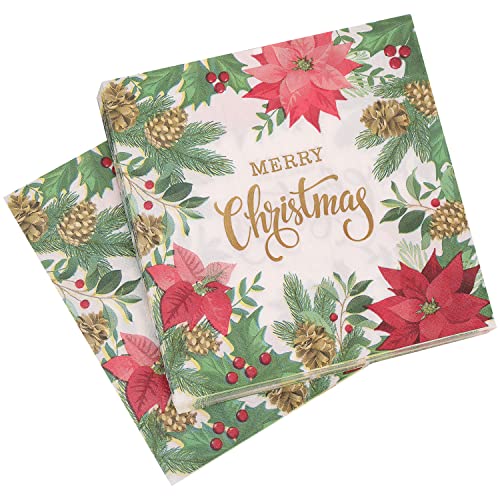 20 Stück Weihnachtsmuster Einweg-Papierservietten Weihnachtsfeier 2-lagige Servietten Urlaub Cocktail Servietten Serviette für Neujahr Winter Party Dekoration, Weihnachtsstern Blume & Blätter von Trimming Shop