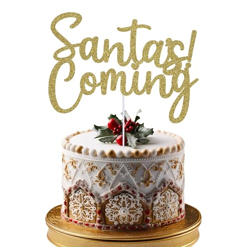 Merry Christmas Cake Topper Santa with Sack Design Xmas Christmas Party Cake Decorations Double-Sided Glitter Dessert Picks Cake Ornament for Winter Frozen Themed Party Supplies, Light Gold von Trimming Shop