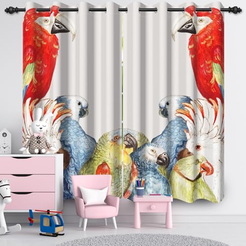 Ttincceer 117x138cm Vogel Verdunkelungsvorhang für Schlafzimmer/Wohnzimmer Cartoon Ara Zimmer Verdunkelung Öse Tülle Vorhang Moderne Kunst Schlafzimmer Wärmeisolierte Vorhänge 2 Panels von Ttincceer