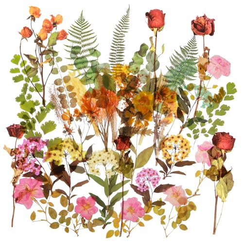 Blumen Sticker PET Herbst Aufkleber Blumen Große Selbstklebende Blumen 48 Stück Aufkleber Sticker Transparent Aufkleber Fotoalbum Geeignet für Scrapbook Umschläge Tagebuchdekoration von Tucnoeu