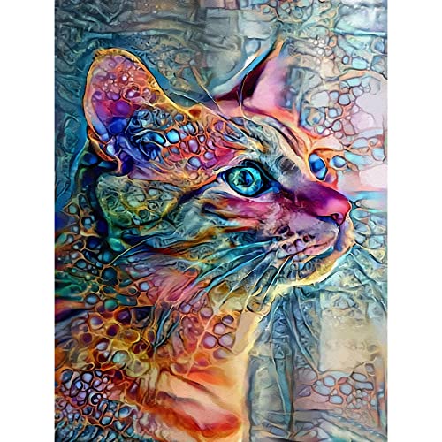 5D-Diamant-Malerei-Set für Erwachsene Kinder DIY Vollbohrer runde Kristall-Strass-Stickerei Kunsthandwerk abstrakte Katze Portraitbild Heimwanddekoration einzigartiges Geschenk 30 x 40 cm von Tucocoo