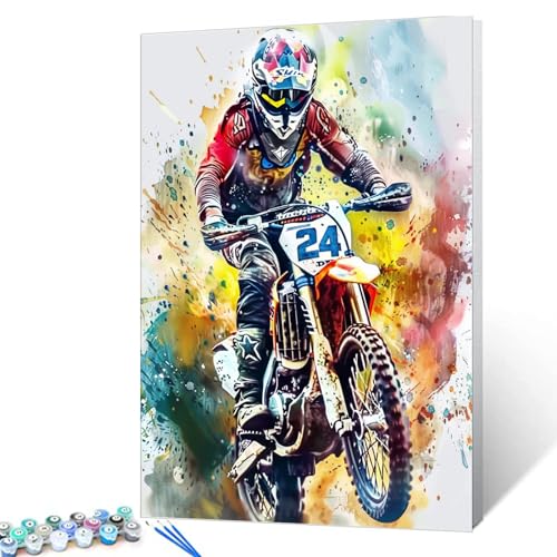 Malen-nach-Zahlen-Set für professionelle Rennfahrer, mit Pinseln und Acrylpigmenten auf Leinwand, Gemälde für Erwachsene, Aquarell-Graffiti, bunter Stil für Zuhause, Wanddekoration, Geschenke, 40,6 x von Tucocoo