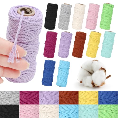 Tutamaz Makramee Garn 3mmx100M, 12 Stück Farbe Baumwollkordel 3mm Baumwollseil Baumwollschnur Macrame Garn für DIY Handwerk Basteln, Boho Deko, Vorhang, Türvorhang,Traumfänger,Weihnachtsschmuck von Tutamaz