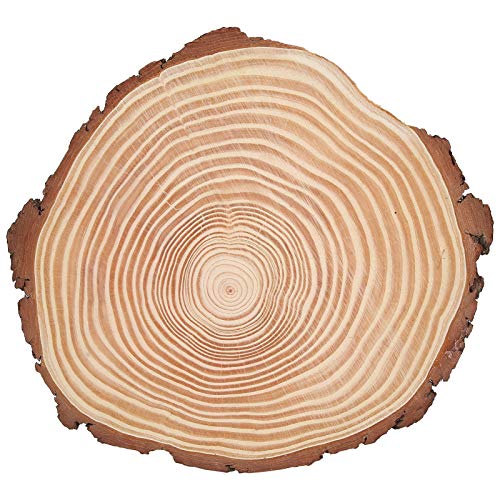 Tyenaza Wood Slices, Unfinished Wood Circles Ornaments Irregular Wood Slices with Bark Christmas Wood Ornaments for Crafts Wood Kit Predrilled Craft Supplies for DIY and Pa (29 * 26) von Tyenaza