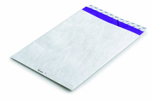 Tyvek 11786 Versandtaschen E4, ohne Fenster, 55 g/qm, großpackung von Tyvek