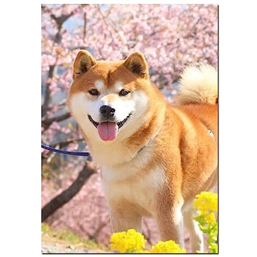 UDERUI DIY 5D Mosaik Diamant Gemälde Kit, Japanischer Shiba Inu Hund Diamant Gemälde Kristall Strass Stickerei Kreuzstich Kunst Craft Canvas für Wand Decor Geschenk 40x50cm/16x20inch von UDERUI