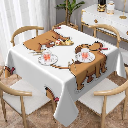 UENFFKDAP Quadratische Tischdecke mit lustigem Dackel-Motiv, wasserdicht und waschbar, für drinnen und draußen, geeignet für Partys, Picknicks, Essen und Gärten von UENFFKDAP