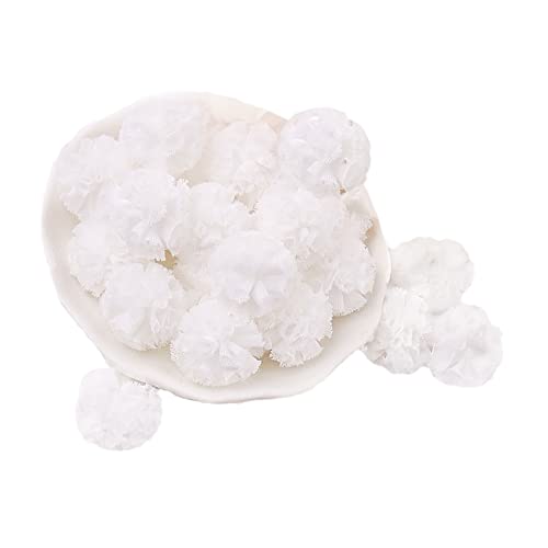 Pack of 100 Pompoms Colourful Pompoms Balls Decoration Set,Colourful Pompoms for Crafts 25mm,for Hobby Supplies and Creative Crafts,DIY Creatives for Crafting Garlands,100 Pieces(White) von UGUGU