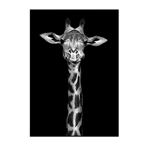 UIGJIOG Leinwand Malerei Kunstdruck Elefant Löwe Giraffe Schwarz Weiß Tier Poster Bild Wand Nordische Dekoration,D,16" x 20" (40cm x 50cm) von UIGJIOG