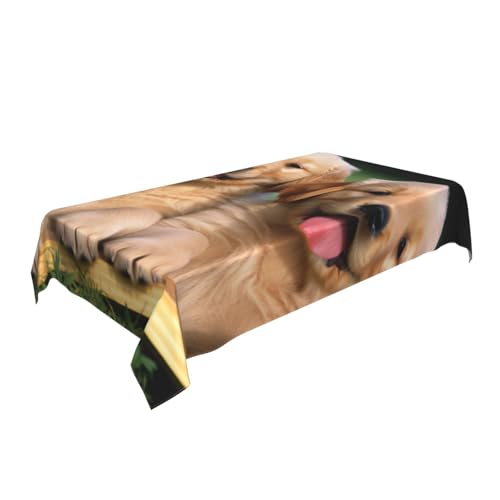 ULKMFFCF Bedruckte Stoff-Tischdecke mit Golden Retriever, Hunde, Welpen, Haustiere, 228 x 152 cm, waschbar, rechteckig, Tischdecke für Küche, Esszimmer, Partys, Hochzeiten, Festivals von ULKMFFCF