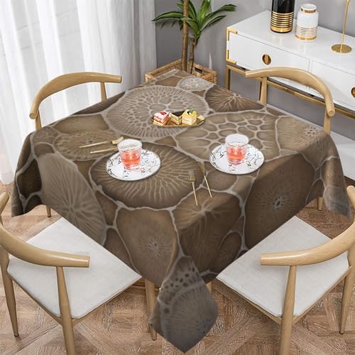 ULKMFFCF Petoskey Quadratische Tischdecke mit Steindruck, 152 x 152 cm, waschbare Stoff-Tischdecke, dekorativ für Küche, Esszimmer, Partys, Hochzeiten, Festivals von ULKMFFCF