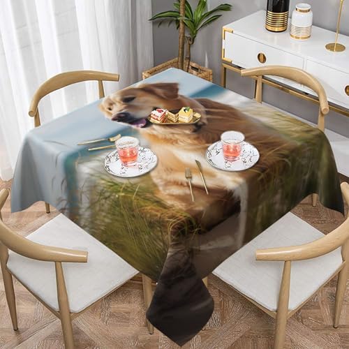 ULKMFFCF Quadratische Tischdecke, Motiv: Golden Retriever am Strand, 137 x 137 cm, waschbare Stoff-Tischdecke, dekorativ für Küche, Esszimmer, Partys, Hochzeiten, Festivals von ULKMFFCF