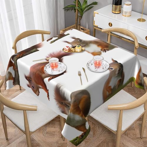 ULKMFFCF Quadratische Tischdecke mit niedlichem Eichhörnchen-Motiv, bedruckt, 137 x 137 cm, waschbare Stoff-Tischdecke, dekorativ für Küche, Esszimmer, Partys, Hochzeiten, Festivals von ULKMFFCF