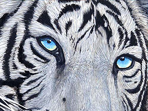 Showker 5D Diamant Painting BilderTiger Tiere, DIY Diamond Painting Bilder Zubehör Runde Diamond Kreuzstich Stickerei Dekoration Schlafzimmer Büro Home Wandbild 30x40cm von UNGROL