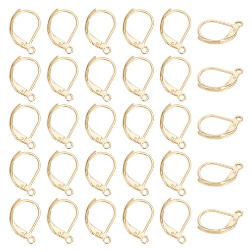 UNICRAFTALE 80Stk Golden Leverback Ohrring Zubehör 304 Edelstahl Hebel Ohrringe Metall DIY Ohrringe Schmuckherstellung Zubehör Für Frauen DIY Ohrringe Herstellung 15x10x2mm, 1x0.8mm von UNICRAFTALE