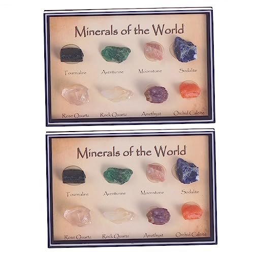 UPKOCH 2 Kisten Erz proben rohsteine Schmucksteine Kreatives Ornament sammlerstücke The gems natürliche Edelsteine Baukasten Mineralkunde einfache Erzsteine Lehrmaterial schöne Erzproben von UPKOCH