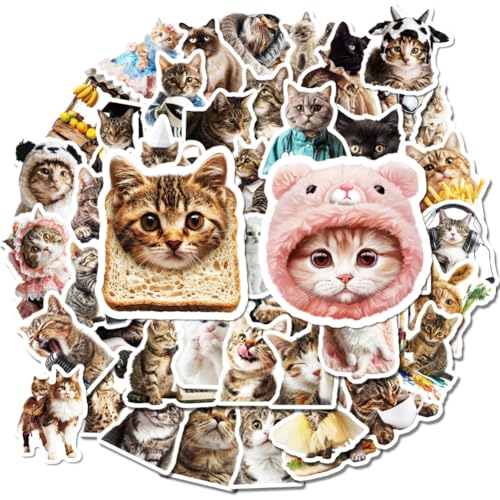 50 Stück Niedliche Katzen Aufkleber, Tier Sticker Wasserflaschen Kawaii Stickers Wasserfeste Aufkleber ästhetische Stickers Karikatur Katze Aufkleber für Scrapbooking Laptop Gepäck Skateboard von URFDCAD