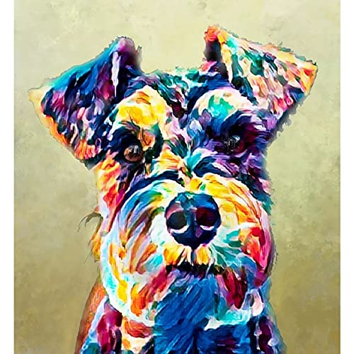 USCMN 5D bunter Schnauzer Hund Full Square Drill Diamond Painting Kreuzstichpackungen Kunst Tier 3D Farbe von Diamanten-35x35cm von USCMN