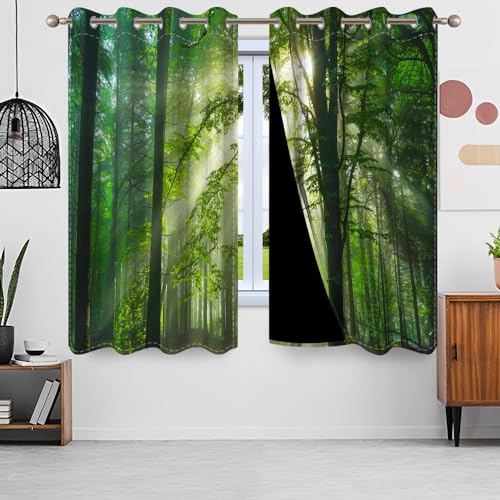 Uiiooazy Gardinen Waldmotiv, Vorhänge Pflanzen Wälder Sonnenlicht Druck Schattierungsvorhänge Thermovorhang Polyester Verdunkelungsvorhänge mit Ösen für Schlafzimmer Wohnzimmer Fenster, 140x245cm von Uiiooazy