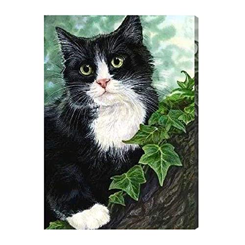 Uitose Diamond Painting Katze für Erwachsene,DIY 5D Diamant Painting Katzen,Malen nach Zahlen Diamant Anfänger，Home Wall Decor 30x40cm von Uitose