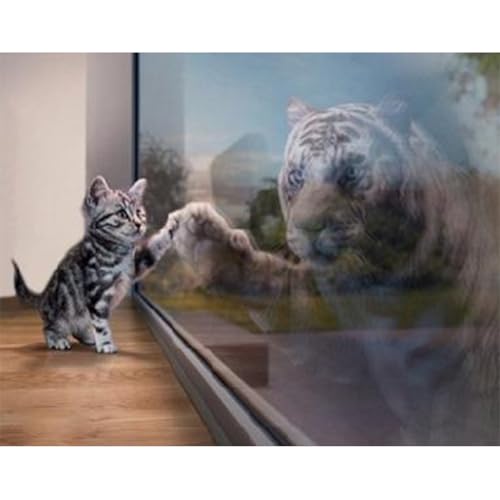 Uixxducc DIY 5D Diamond Painting Katze, Diamant Painting Bilder Katze zu Tiger Erwachsene Kinder Diamant Stickerei Malerei Kits Arts Craft Für Home Wand-Decor (50x70cm) von Uixxducc