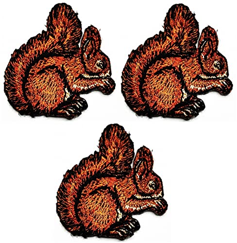 Umama Patch Set von 3 Mini Eichhörnchen Niedlich Cartoon bestickt Bügelbild kleines Eichhörnchen Aufkleber Handwerk Stoff Zubehör Nähen Jacke Polo T-Shirt Hut Tasche Kleidung von Umama