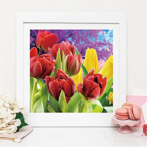 Umfarvt 5D Red Tulips Diamond Painting Kits for Adults Kids,DIY Round Full Drill Diamond Art Painting Kits,Canvas Embroidery diamond art Craft for Home Wall Decor 30x30cm Umfarvt 5D Red Tulips Diamond Painting Kits for Adults Kids,DIY Round Full Drill Diamond Art Painting Kits,Canvas Embroidery diamond art Craft for Home Wall Decor 30x30cm von Umfarvt