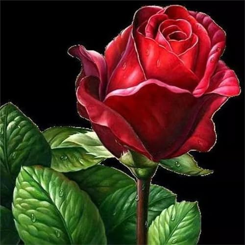 Umfarvt 5D Rose Plant Diamond Painting Kits for Adults Kids,DIY Square Full Drill Diamond Art Painting Kits,Canvas Embroidery diamond art Craft for Home Wall Decor 60x60cm Umfarvt 5D Rose Plant Diamond Painting Kits for Adults Kids,DIY Square Full Drill Diamond Art Painting Kits,Canvas Embroidery diamond art Craft for Home Wall Decor 60x60cm von Umfarvt