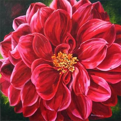 Umfarvt 5D Rote Blume Diamond Painting Erwachsene Kinder Diamant Painting Bilder,DIY Round Drill Diamant Kunst Malerei Stickerei Kreuzstich Set für Home Wand Dekor 80x80cm Umfarvt 5D Rote Blume Diamond Painting Erwachsene Kinder Diamant Painting Bilder,DIY Round Drill Diamant Kunst Malerei Stickerei Kreuzstich Set für Home Wand Dekor 80x80cm von Umfarvt
