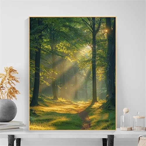 Umfarvt Baumlandschaft Malen Nach Zahlen Erwachsene,Paint by Numbers Adult,DIY Framed DIY mit Pinseln und Acrylfarben Handgemalt Ölgemälde Leinwand für Home Wand Dekor 50x65cm von Umfarvt