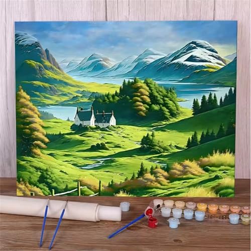 Umfarvt Landschaft Malen Nach Zahlen Erwachsene,Grün Malen Nach Zahlen,Without Framed inklusive Pinsel und Acrylfarben DIY handgemaltes Ölgemälde Set für Anfänger für Home Decor 30x40cm von Umfarvt