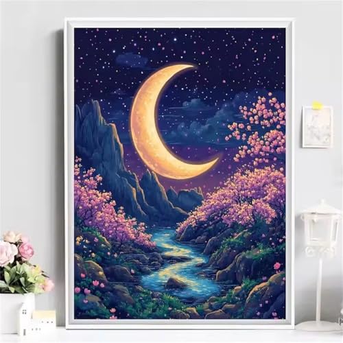 Umfarvt Landschaft Malen Nach Zahlen Erwachsene,Mond Malen Nach Zahlen,Without Framed inklusive Pinsel und Acrylfarben DIY handgemaltes Ölgemälde Set für Anfänger für Home Decor 30x40cm von Umfarvt