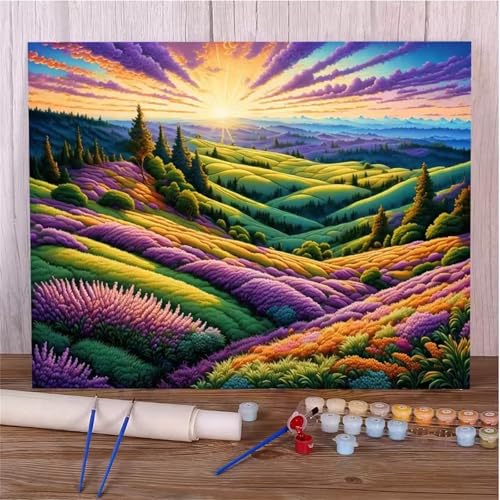 Umfarvt Landschaft Malen Nach Zahlen Erwachsene,Sonnenschein Malen Nach Zahlen,Without Framed inklusive Pinsel und Acrylfarben DIY handgemaltes Ölgemälde Set für Anfänger für Home Decor 30x40cm von Umfarvt