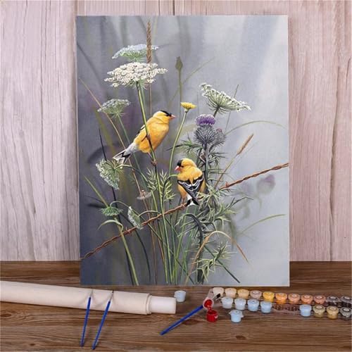 Umfarvt Malen Nach Zahlen Erwachsene,DIY Paint by numbers for adult beginner,Acrylmalerei Set mit Pinseln und Farben kann als Geschenk, Hause Dekoration verwendet werden Blume Vogel-Framed,30x40cm von Umfarvt