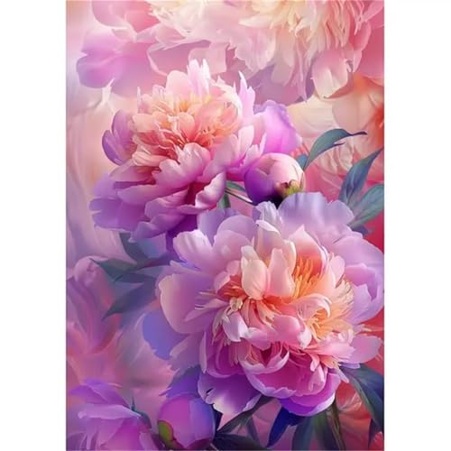 Umfarvt Malen Nach Zahlen Erwachsene,DIY Paint by numbers for adult beginner,Acrylmalerei Set mit Pinseln und Farben kann als Geschenk, Hause Dekoration verwendet werden Rosa Blume-Framed,30x40cm von Umfarvt