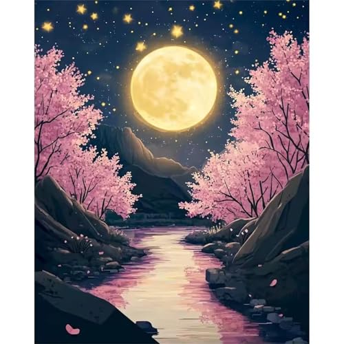 Umfarvt Malen Nach Zahlen Mond, Landschaft Malen Nach Zahlen Erwachsene, DIY Handgemalt Ölgemälde Kit mit Pinseln und Acrylfarben Ölgemälde Leinwand für Home Decor DIY Framed 30x40cm von Umfarvt