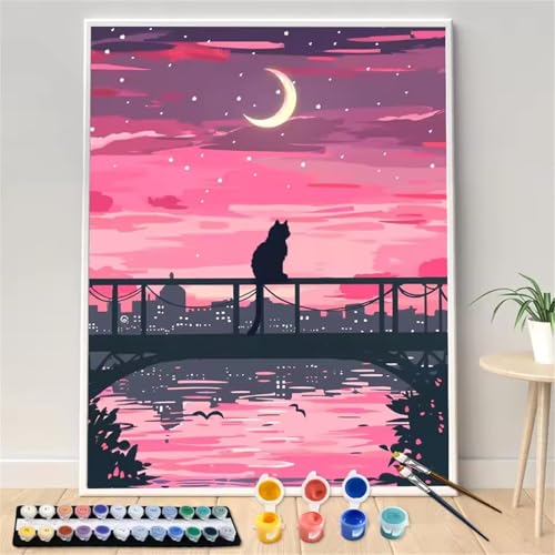 Umfarvt Malen Nach Zahlen Rosa, Katze Malen Nach Zahlen Erwachsene, DIY Handgemalt Ölgemälde Kit mit Pinseln und Acrylfarben Ölgemälde Leinwand für Home Decor DIY Framed 30x40cm von Umfarvt