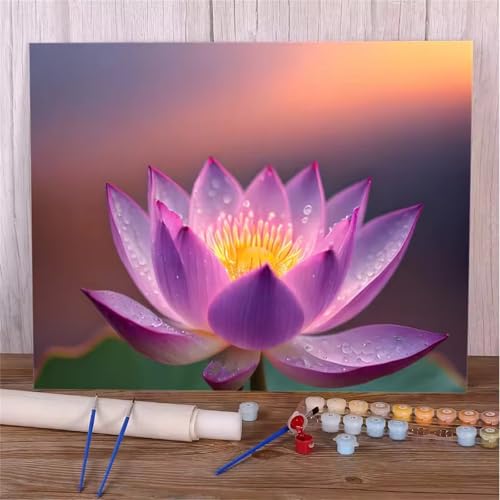 Umfarvt Malen Nach Zahlen Rosa, Lotus Malen Nach Zahlen Erwachsene, DIY Handgemalt Ölgemälde Kit mit Pinseln und Acrylfarben Ölgemälde Leinwand für Home Decor DIY Framed 30x40cm von Umfarvt